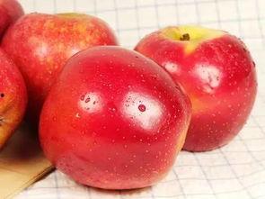 5.1吃瓜网官网苹果版,轻松畅享最新娱乐资讯，尽在掌握