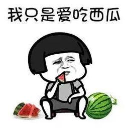 娱乐吃瓜酱梗,吃瓜酱背后的那些事儿