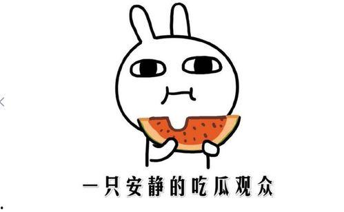 娱乐吃瓜酱梗,吃瓜酱背后的那些事儿