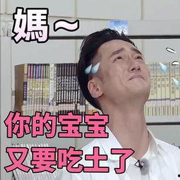 娱乐吃瓜表情包图片,笑翻你的表情包盛宴